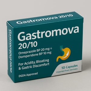GASTRO SEGMENT